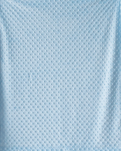 Silver & Light Blue Baby Blanket